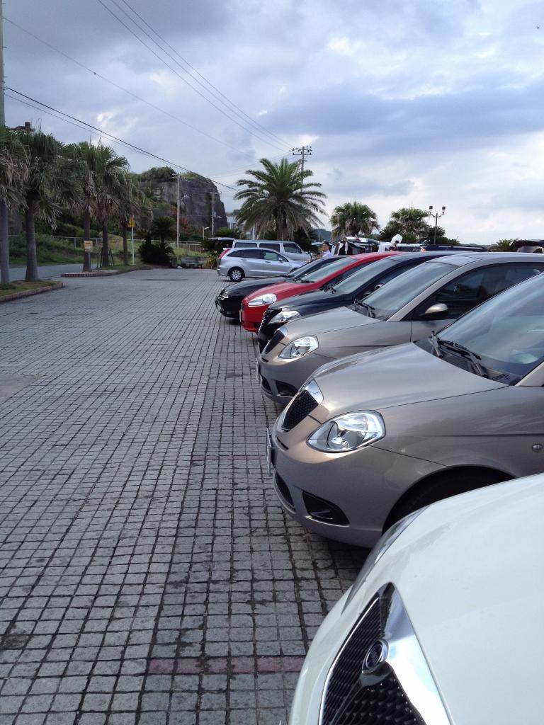 IMG_2114 (768x1024).jpg